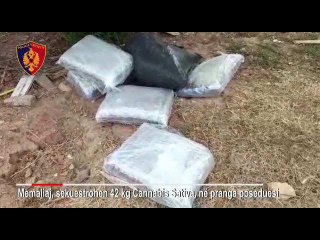 Memaliaj/Po fshihte 42 kg drogë në oborrin e shtëpisë,pranga 41- vjeçarit