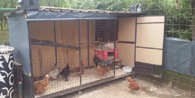 Shqipëria tjetër/ Kullat legalizohen, në Vlorë gjyshja shpallet kriminele për një kotec pulash