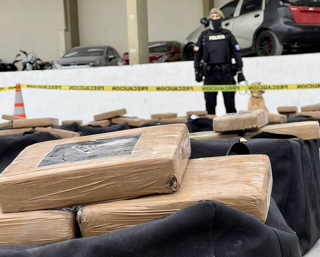 ‘Shkolla e vrasësve’/ Zbulimi i ‘The Telegraph’, nga droga te shqiptarët