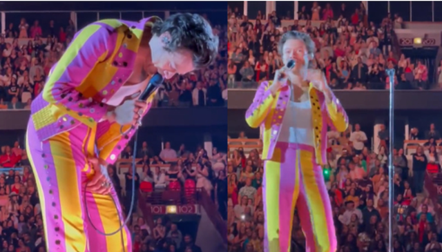 Harry Styles i ndodh e papritura në mes të koncertit, fansi e godet këngëtarin në pjesën intime