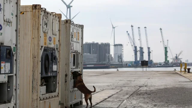 SKY ECC nxjerr “sekretet” e bosëve, trupa në mulli mishi e tortura LIVE teksa të tjerë qeshin. Shqipja, gjuha më e përdorur pas anglishtes