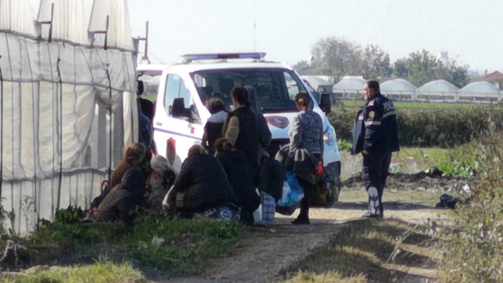 Armë, arka dhe qese të mbushura me kanabis, brenda fermës së drogës në Berat! Dalin pamjet nga operacioni i policisë, të arrestuarit….