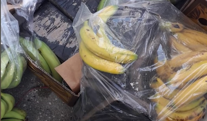 Kokaina në ngarkesën me banane në Portin e Durrësit, jepet masa e sigurisë për 3 të ndaluarit