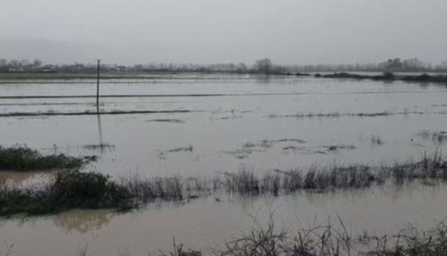 Moti i keq në vend/ Lumi Ishëm del nga shtrati, përmbytet Lezha, bllokohet rruga e Arbrit, çahet diga e përroit në Gjirokastër