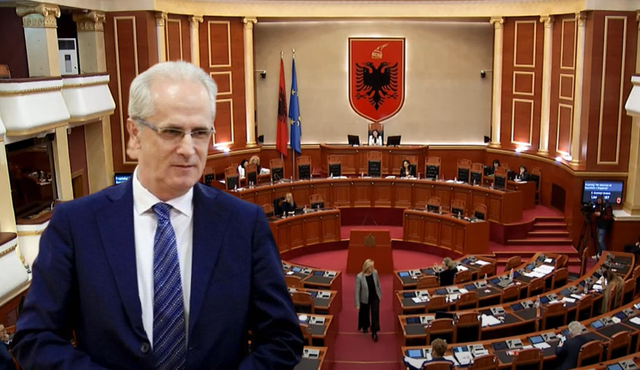 Kushtetuesja dhe Avokati i Popullit/ PD: Mafiozë, do vendosni Dvoranin. Rama: S’e kemi vendosur, vulëhumburit s’i votojmë