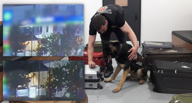 Dalin PAMJET që zbuluan trafikantët e kanabisit Rinas-Stamboll, “Fiat-i” parkohej jasht, “biznesmeni” kujdesej për detajet