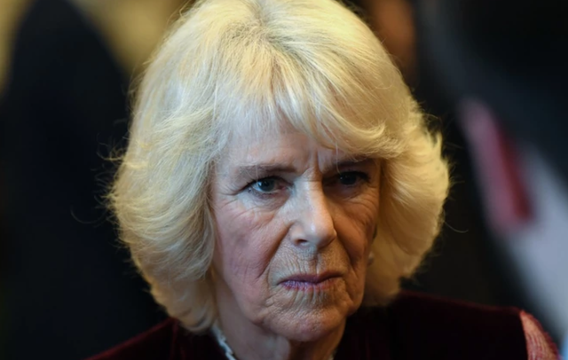 Akuzat e Harryt, Vanity Fair: Camilla nuk do ta falë kurrë atë