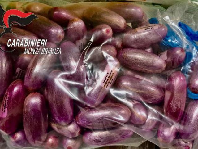 Kultivoi 22 kg kanabis, habit 24-vjeçari italian në Polici: Do martohem, më duhen para