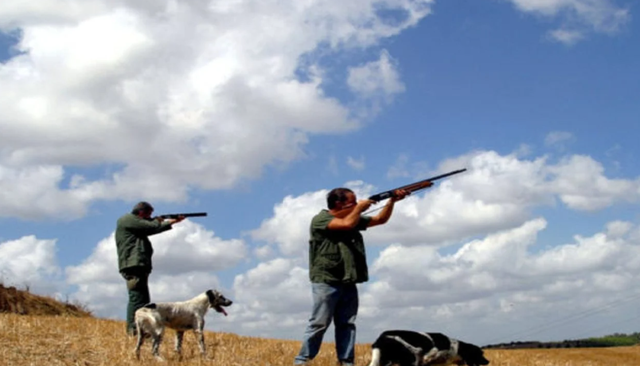 Po punonte arat me të atin, u qëllua me çifte/ Rihapet pas 20 vjetësh dosja e vrasjes së 15-vjeçarit shqiptar nga një gjahtar italian