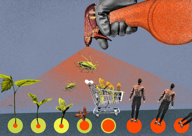 BIRN: Mungesa e monitorimit rrit rreziqet nga ndotja e pesticideve në Shqipëri