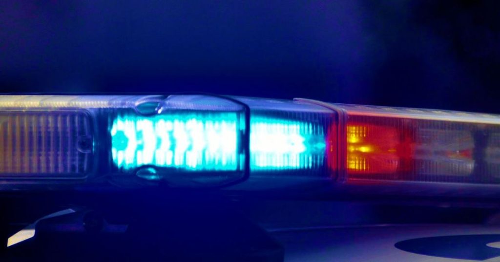 Tentoi të trafikonte mbi 10 kg drogë drejt Francës, kapet në kufirin serbo-hungarez shqiptari