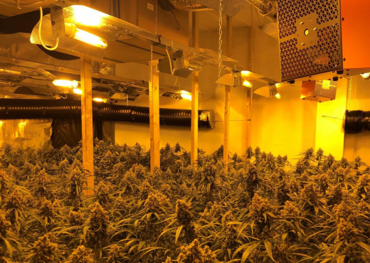 U kap në një ‘shtëpi bari’, arrestohet 31-vjeçari shqiptar në Britani