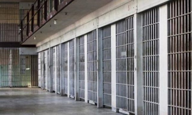 U kapën me 2.7 ton kokainë, 10 shqiptarë apelojnë vendimin e gjykatës në Danimarkë, mes tyre dhe ish-zyrtari i Ministrisë së Mbrojtjes