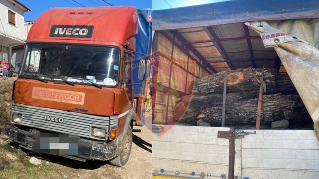 Arrestohen dy persona dhe inspektori i pyjeve në Elbasan, u kapën me kamionin plot me dru