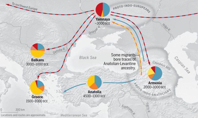 STUDIMI i ‘Science’: Gjuha shqipe i ka shpëtuar ‘gërshetimit’ me gjuhë të vona dhe disa të tjera indoeuropiane