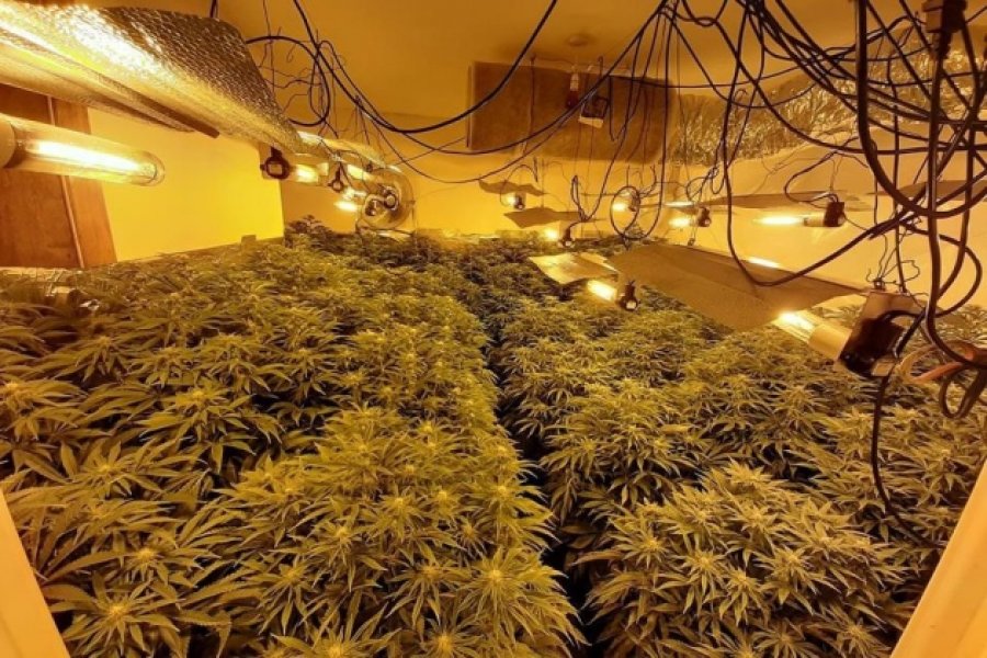 “Shtëpia e barit” në Vlorë/ Lihet në burg një nga të arrestuarit, lirohen 4 punonjësit e OSHEE