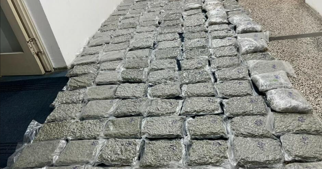 Gati 100 kg kanabis në makinë, arrestohen 2 shqiptarë në Mal të Zi. Menduan se i ikën Policisë, por i “dogji” qeni anti-drogë