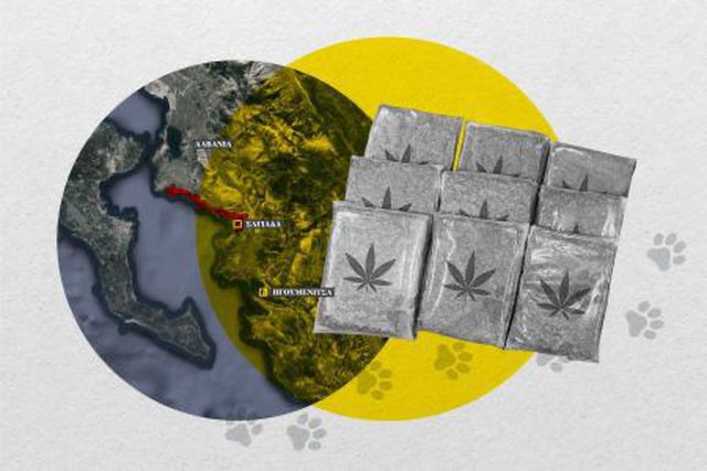 Media greke: Trafiku i drogës Shqipëri-Igumenicë, rrjeti përdor të pastrehë për transportin e marijuanës