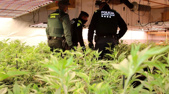 MEGA-OPERACIONI në Spanjë/ 200 policë dhe një helikopter për të “shkatërruar” bandën shqiptare, 19 të arrestuar, mes tyre dhe rusë