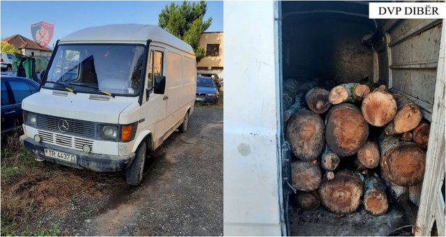 Policia e Dibrës aksion kundër krimeve mjedisore, procedohen penalisht 4 persona